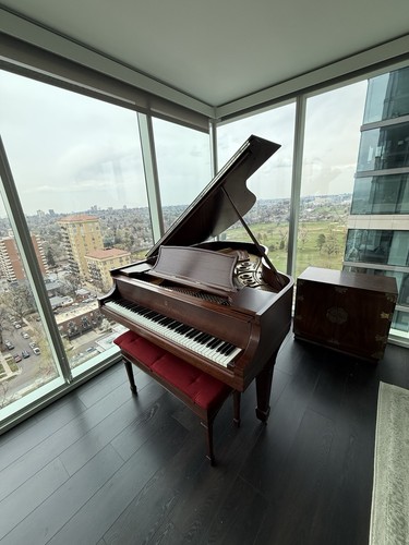 Steinway baby grand piano 1923 - grand,