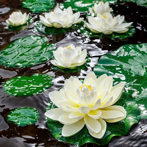 Tapis nénuphar flottant - de, en