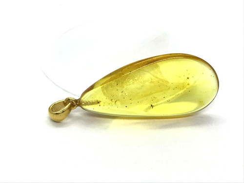 Pendentif ambre avec - avec, inclusion