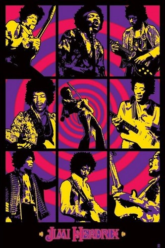 Jimi hendrix purple - hendrix,