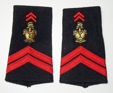 PAIRE DE FOURREAUX D'EPAULES