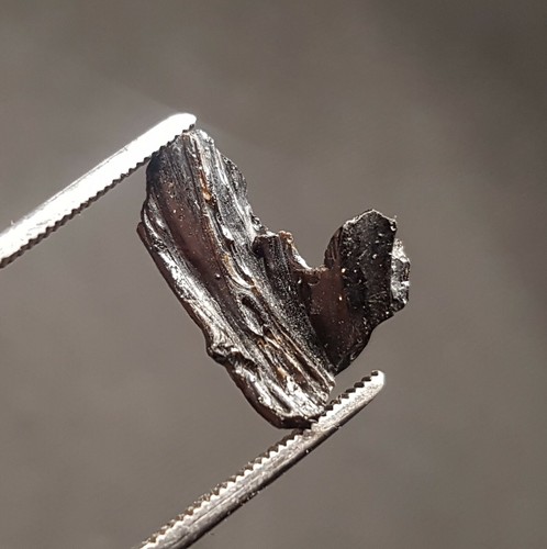 Tectite tektite irghizite - tectite,