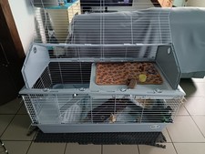 cage à lapin ou rongeurs 