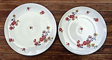 Plats ronds en porcelaine de
