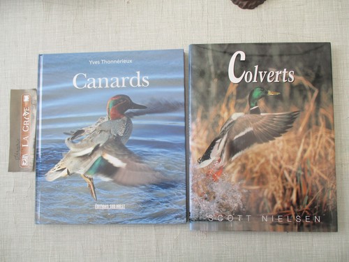 Chasse thonnerieux canards - thonnerieux, "canards"