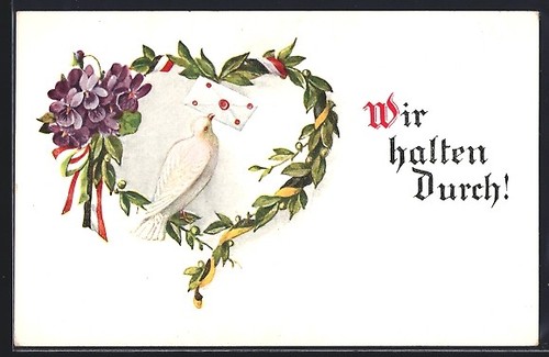Pigeon voyageur coeur en - en,