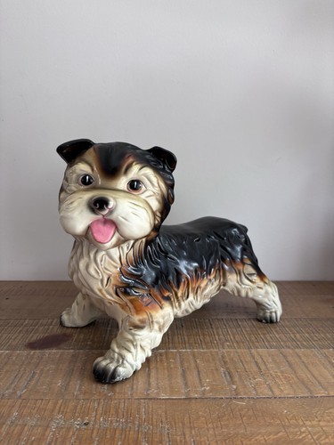 Chien yorkshire - chien,
