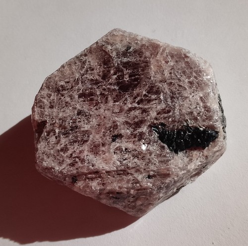 43.09gr 37x36x14mm rubis