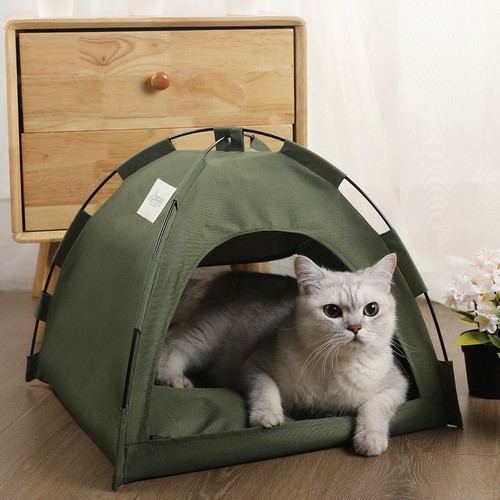 Tente chat maison - chat,,