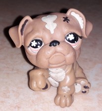 Petshop chien bouledogue 607
