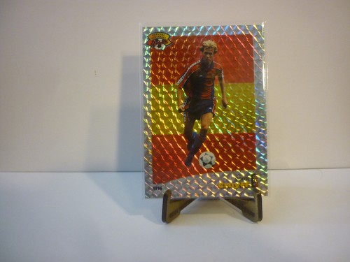 Carte foot panini - -, official