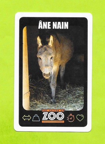 Carte une saison zoo âne - carte,