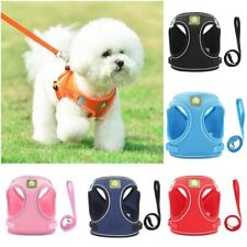 6pcs PET Vest Harnais Et Dog Skin Set Chat Chiot Réfléchissant Poitrine Ceinture