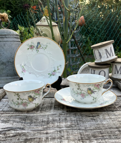 Tasses sous limoges - -,