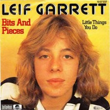 Leif Garrett - disque vinyle