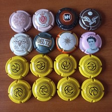 Lot 16 capsules champagne