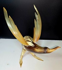 Oiseau corne de buffle + de