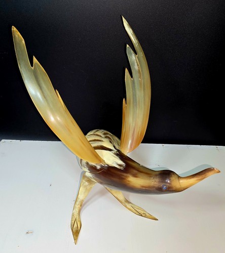 Oiseau corne buffle de - corne, +