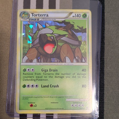 Nintendo torterra hs - torterra,