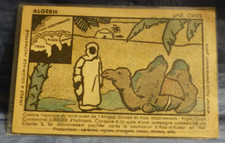 CPA ALGÉRIE Colonie française : UNE OASIS - publicitée PHOSPHATINE FALIÈRE.