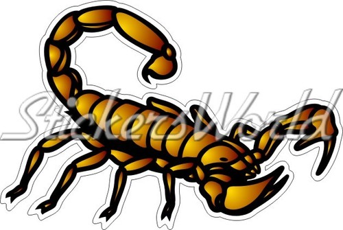 Scorpion stinger scorpio - scorpion,