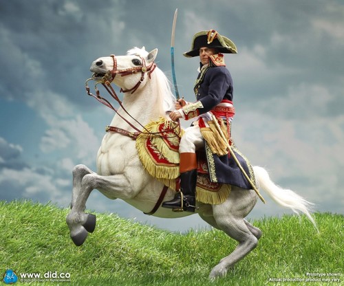 Did corp napoleon - did,