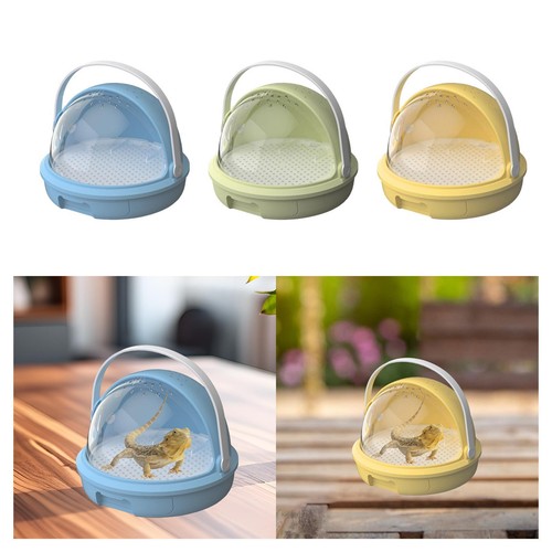 Terrarium pour reptiles