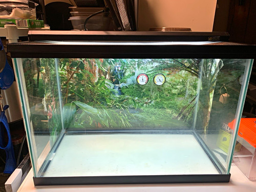 Gallon terrarium with - 20,