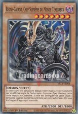 Yu-Gi-Oh! Règne-Galant, Chef Suprême du Monde Ténébreux : C SR13-FR004