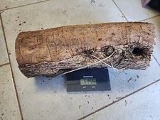 Bois d'olivier Provence N°X8 lot 1 rondin 4kg500 ,tournage,sculpture,coutellerie