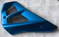 Ecope Carénage De Radiateur