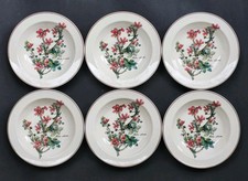 NEUVES 6 ASSIETTES CREUSES VILLEROY & BOCH modèle BOTANICA 19,9cm avec étiquette