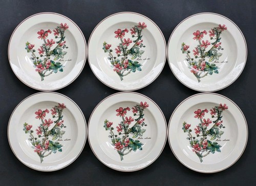 Neuves assiettes creuses - neuves, 6