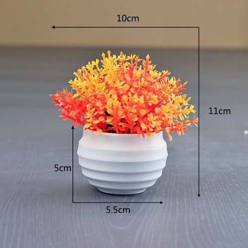 Petite plante pot faux - en,