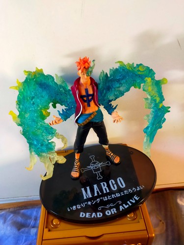 One piece marco - marco, phoenix