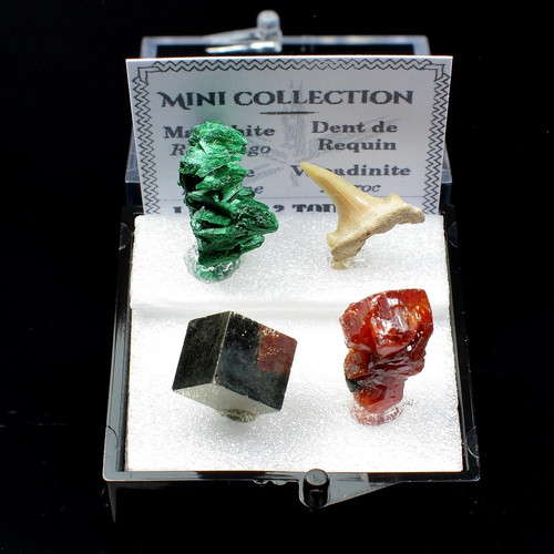 Mini collection minéraux du - collection,