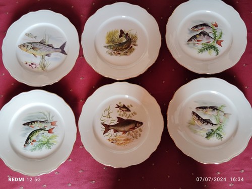 Lot grandes assiettes à - lot, 6