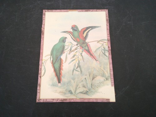 Tableau dessin gravure - dessin, en