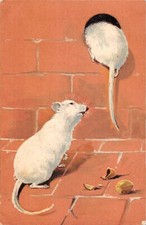 CPA Fantaisie Carte gaufré deux petits rats (253496)