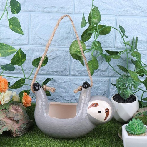Jardinière succulente - jardinière,