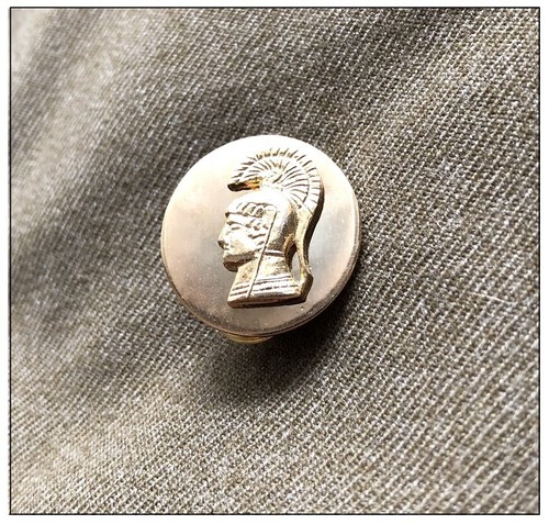 Ww2 insigne wac waac nurse - insigne,