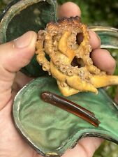 Pipe Écume Amour au Panier Fleuri & Ange & 19 Eme Siècle