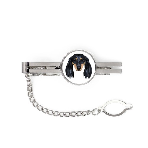 Teckel poil long pince - poil,