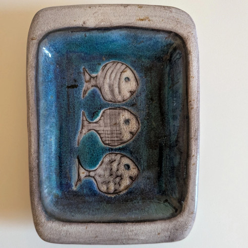 Vide poche poisssons - vide,
