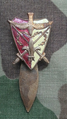 Insigne camelots roi - camelots,