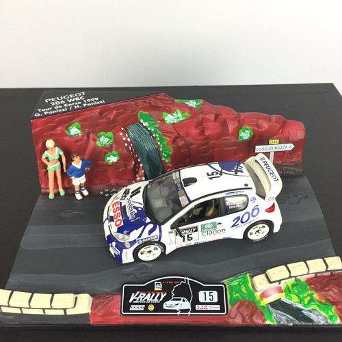 Diorama peugeot 206 wrc tour - diorama,