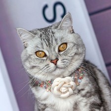  Collerette Pour Chat