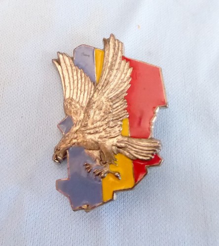 Insigne opération épervier - insigne,
