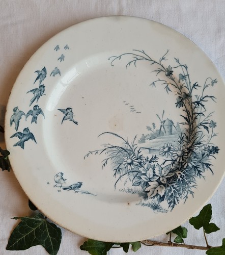 Ancienne assiette terre de - assiette,