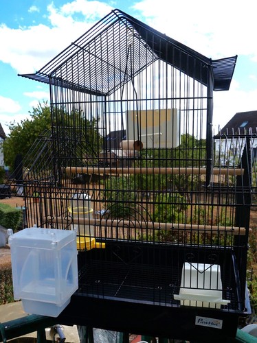 Cage oiseaux pawhut - oiseaux,